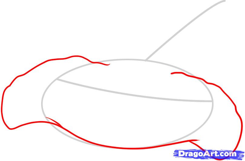 how-to-draw-a-stingray-step-2_1_000000048305_5
