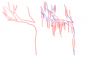 how-to-draw-a-swamp-draw-swamps-step-11_1_000000127731_3