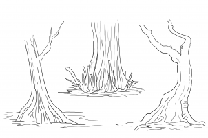 how-to-draw-a-swamp-draw-swamps-step-12_1_000000127733_3