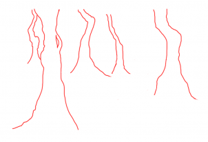 how-to-draw-a-swamp-draw-swamps-step-3_1_000000127715_3