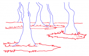 how-to-draw-a-swamp-draw-swamps-step-5_1_000000127719_3