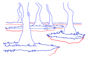 how-to-draw-a-swamp-draw-swamps-step-6_1_000000127721_3