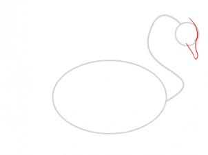 how-to-draw-a-swan-step-2_1_000000003226_3