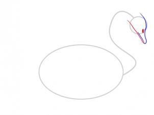 how-to-draw-a-swan-step-3_1_000000003227_3