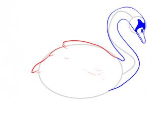 how-to-draw-a-swan-step-6_1_000000048075_3