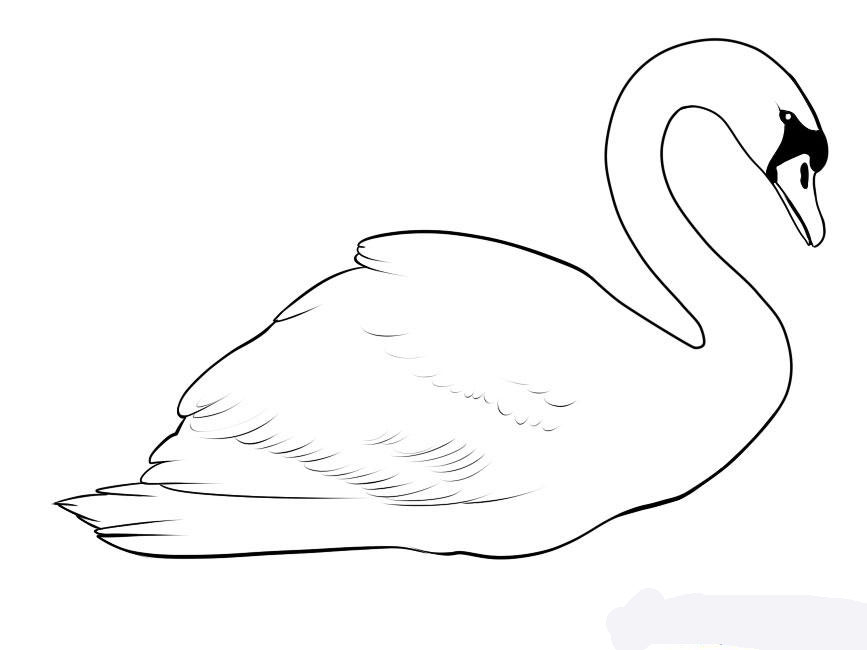 how-to-draw-a-swan-step-8_1_000000048079_5