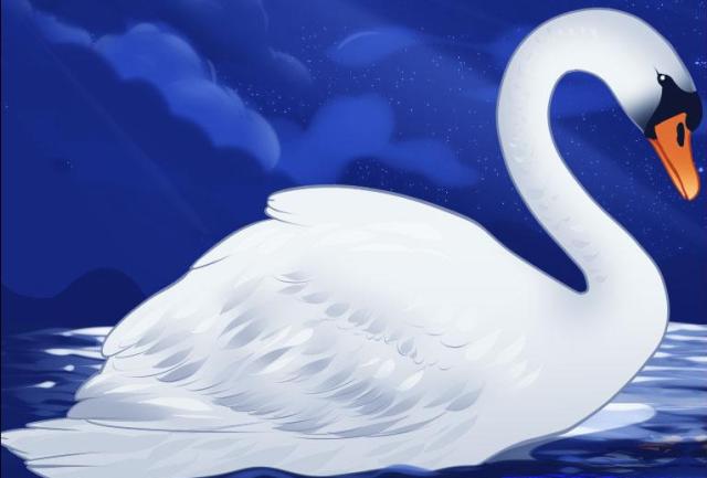 how-to-draw-a-swan_1_000000000680_5