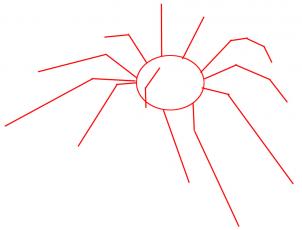 how-to-draw-a-tarantula-step-1_1_000000010879_3
