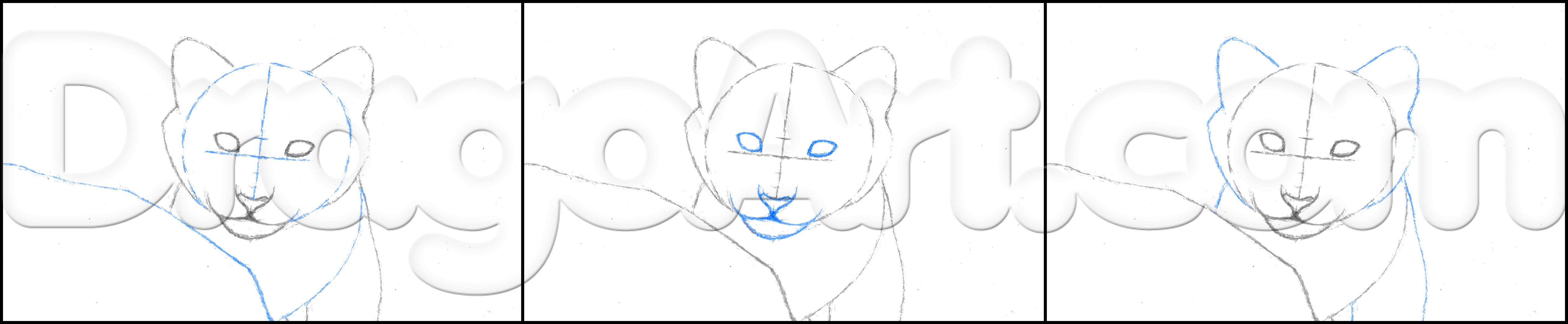 how-to-draw-a-tiger-cub-step-1_1_000000174512_5