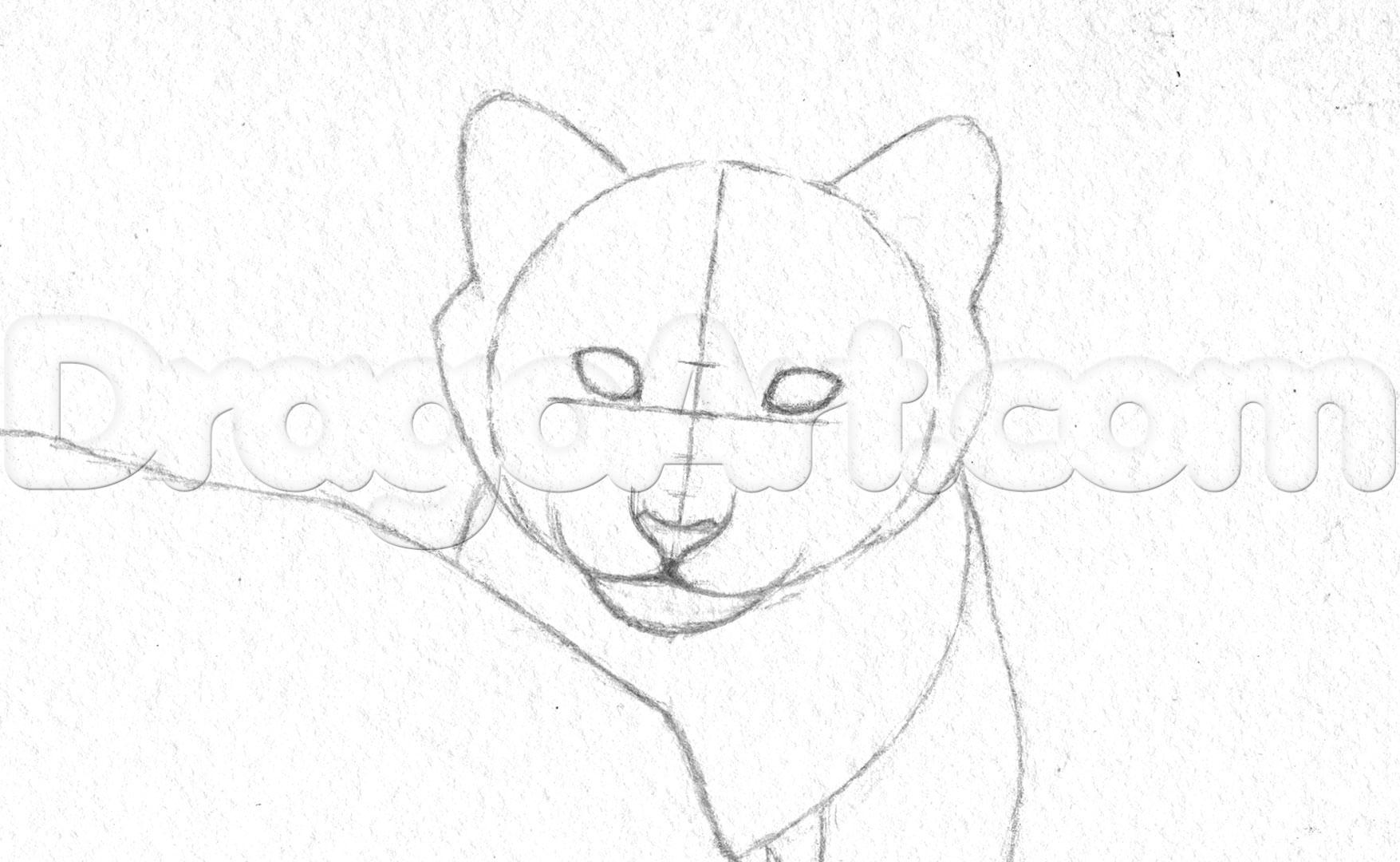 how-to-draw-a-tiger-cub-step-2_1_000000174513_5