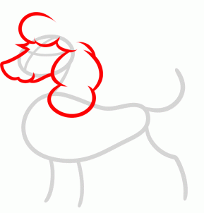 how-to-draw-a-toy-poodle-step-2_1_000000158705_3