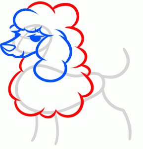 how-to-draw-a-toy-poodle-step-4_1_000000158707_3