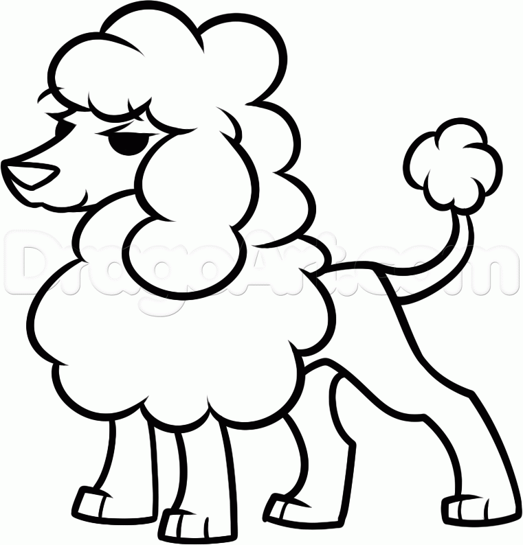 how-to-draw-a-toy-poodle-step-7_1_000000158710_5