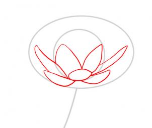 how-to-draw-a-water-lily-step-2_1_000000049061_3