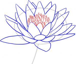 how-to-draw-a-water-lily-step-7_1_000000049071_3