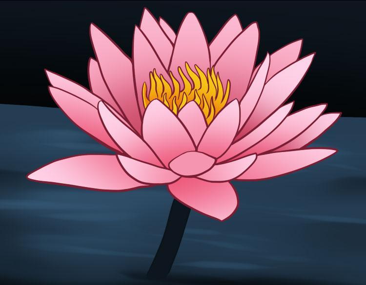 how-to-draw-a-water-lily_1_000000007566_5