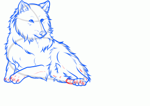 how-to-draw-a-white-wolf-step-10_1_000000160554_3