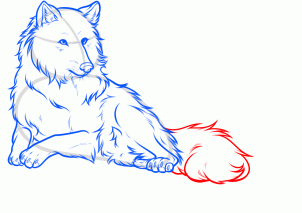 how-to-draw-a-white-wolf-step-11_1_000000160555_3