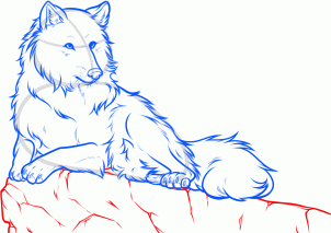 how-to-draw-a-white-wolf-step-12_1_000000160556_3