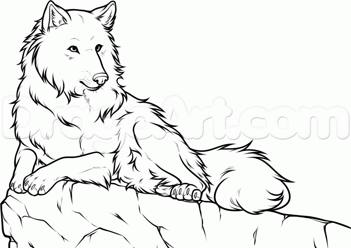 how-to-draw-a-white-wolf-step-13_1_000000160557_5
