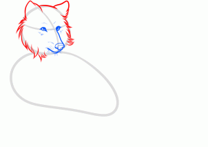 how-to-draw-a-white-wolf-step-5_1_000000160549_3