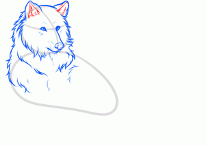 how-to-draw-a-white-wolf-step-7_1_000000160551_3