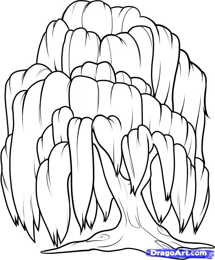 how-to-draw-a-willow-tree-weeping-willow-step-8_1_000000053331_5