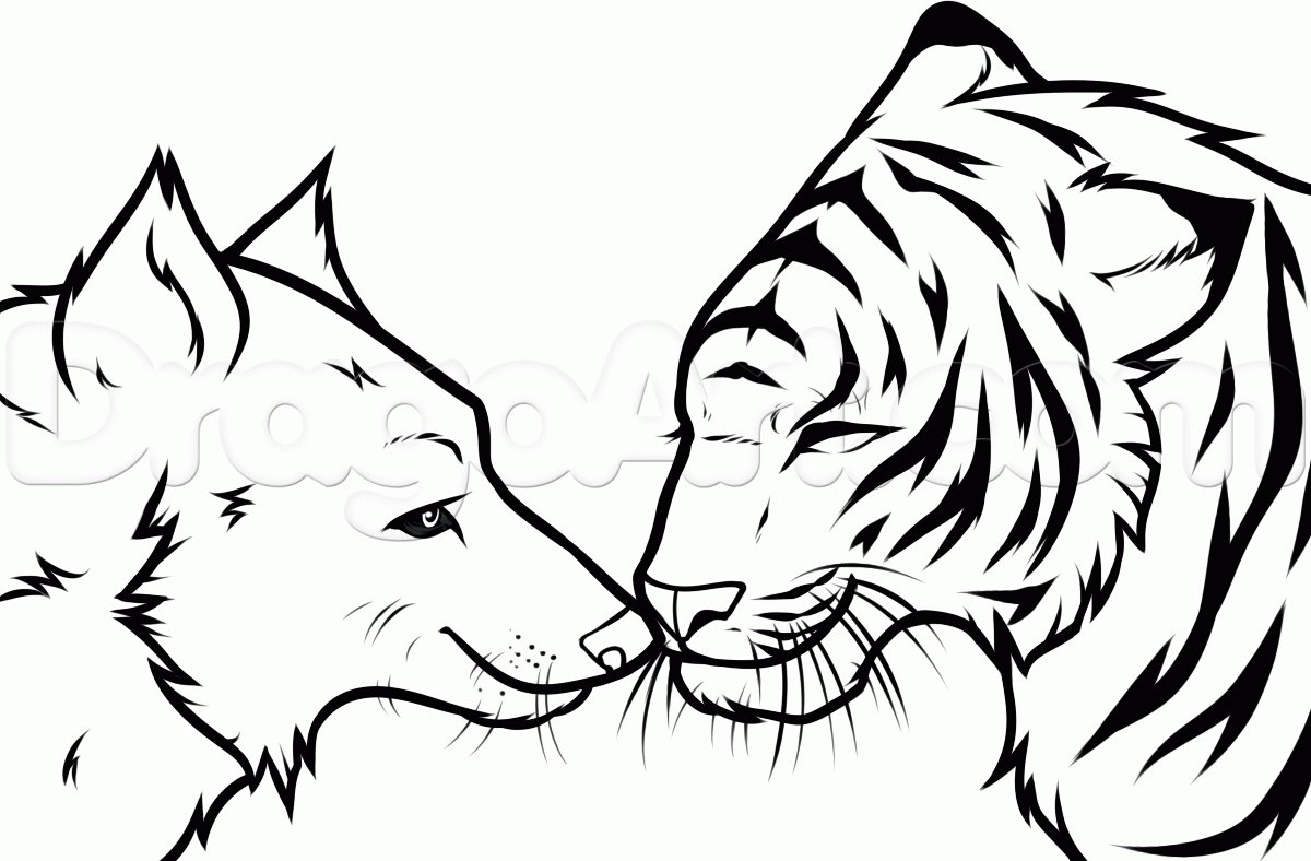 how-to-draw-a-wolf-and-tiger-step-10_1_000000169225_5