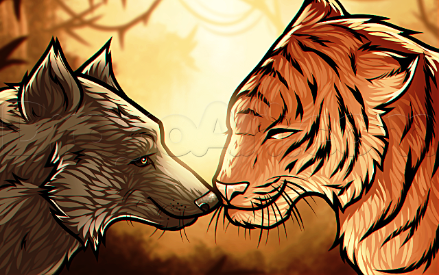 how-to-draw-a-wolf-and-tiger_1_5