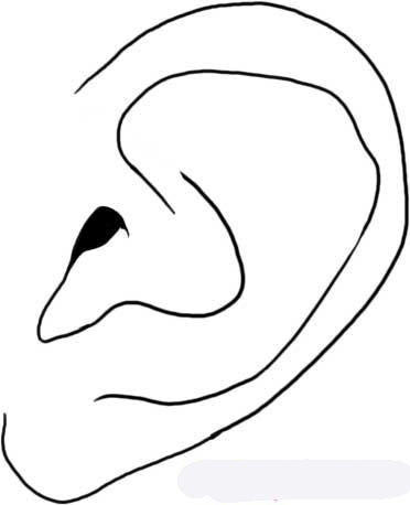 how-to-draw-an-ear-step-4_17_5