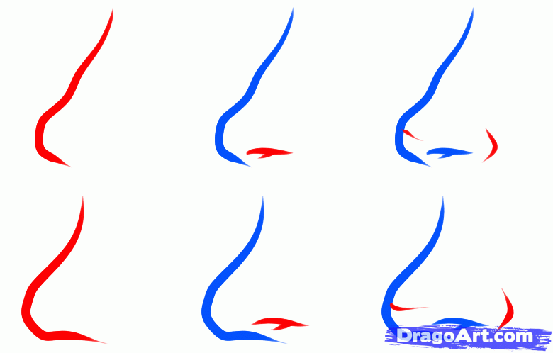 how-to-draw-an-easy-nose-step-6_1_000000128843_5