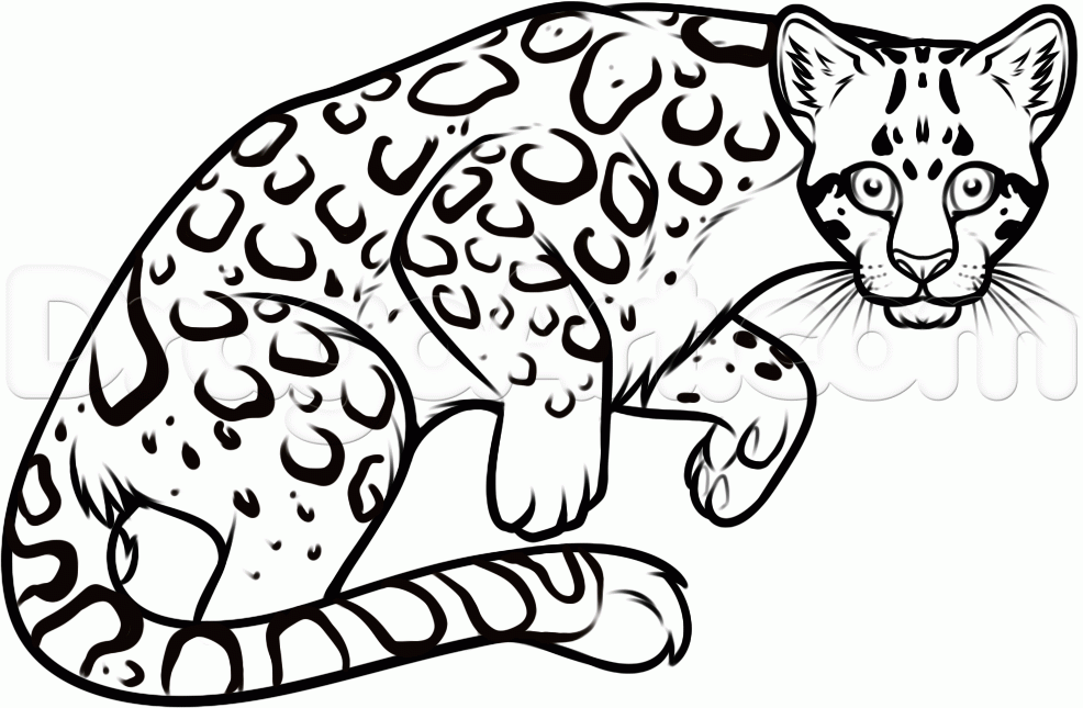 how-to-draw-an-ocelot-step-10_1_000000156493_5