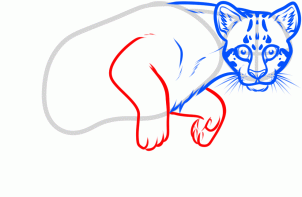 how-to-draw-an-ocelot-step-6_1_000000156489_3