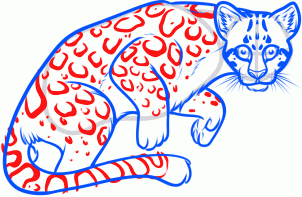 how-to-draw-an-ocelot-step-9_1_000000156492_3