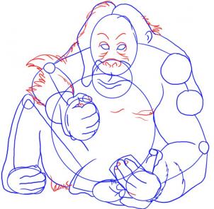 how-to-draw-an-orangutan-step-4_1_000000001197_3