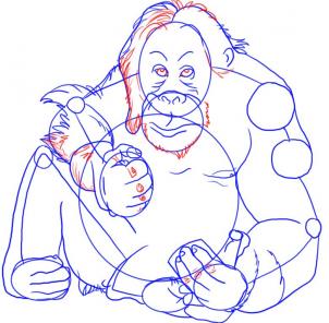 how-to-draw-an-orangutan-step-5_1_000000001198_3