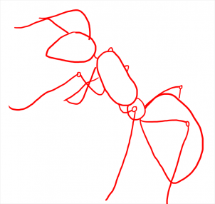 how-to-draw-ants-step-10_1_000000108181_3