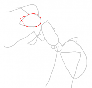how-to-draw-ants-step-11_1_000000108183_3