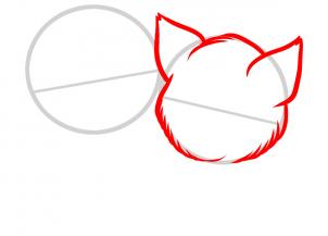 how-to-draw-baby-kittens-baby-kittens-step-2_1_000000085115_3