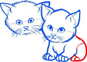 how-to-draw-baby-kittens-baby-kittens-step-6_1_000000085123_3