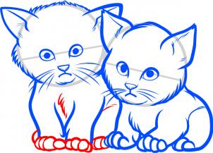 how-to-draw-baby-kittens-baby-kittens-step-8_1_000000085127_3