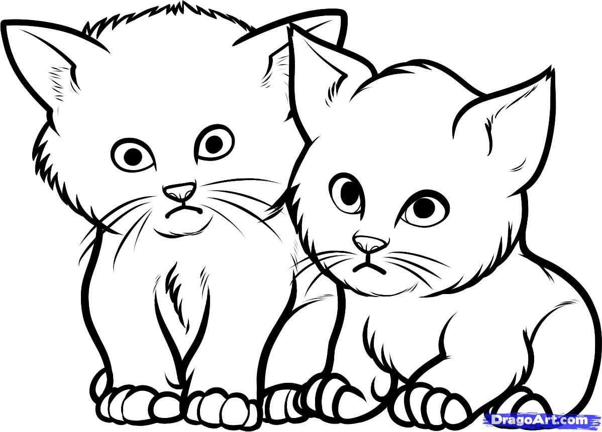 how-to-draw-baby-kittens-baby-kittens-step-9_1_000000085129_5