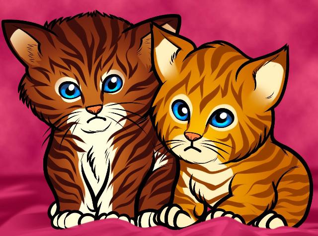 how-to-draw-baby-kittens-baby-kittens_1_000000010734_5