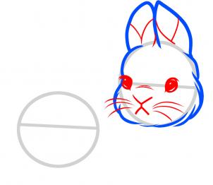 how-to-draw-baby-rabbits-baby-rabbits-step-3_1_000000085285_3