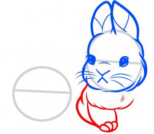 how-to-draw-baby-rabbits-baby-rabbits-step-4_1_000000085287_3