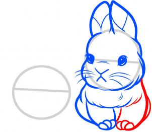 how-to-draw-baby-rabbits-baby-rabbits-step-5_1_000000085289_3