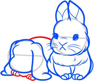 how-to-draw-baby-rabbits-baby-rabbits-step-7_1_000000085293_3