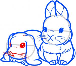 how-to-draw-baby-rabbits-baby-rabbits-step-8_1_000000085295_3