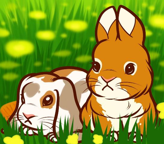 how-to-draw-baby-rabbits-baby-rabbits_1_000000010745_5