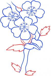 how-to-draw-blossoms-step-6_1_000000054965_3